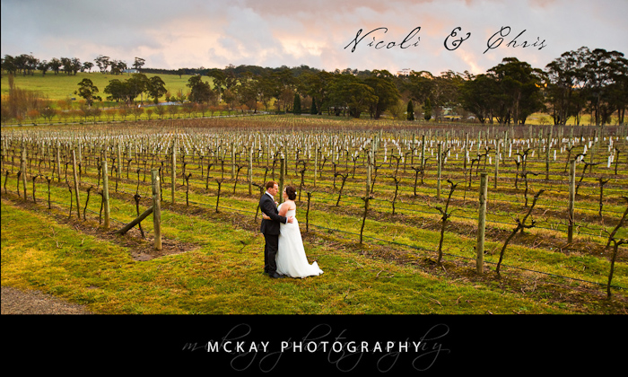 Nicoli & Chris at Centennial Vineyards Bowral